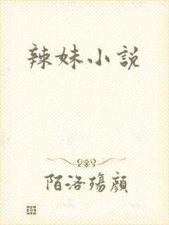 辣妹小说