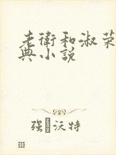 老卫和淑荣的经典小说