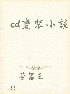 cd变装小说