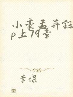 小豪孟卉钰慧三p上79章