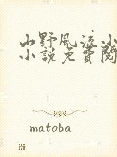 山野风流小神医小说免费阅读