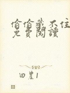 偷偷藏不住小说免费阅读