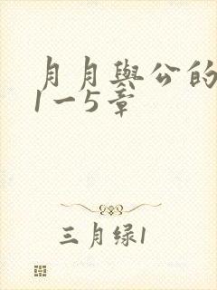 月月与公的激情1一5章