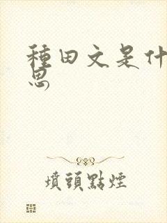 种田文是什么意思
