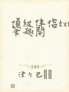 顶级伴侣txt笔趣阁