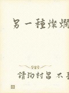 另一种灿烂生活