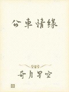 公车情缘