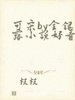 可宋by金银花露小说好看吗