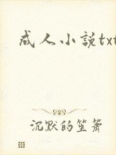成人小说txt