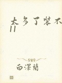 太多了装不下H11