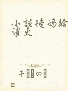 小说后妈给我消消火