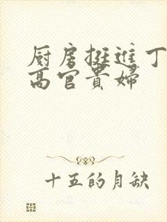 厨房挺进丁字裤高官贵妇