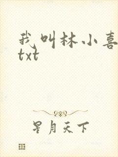我叫林小喜小说txt