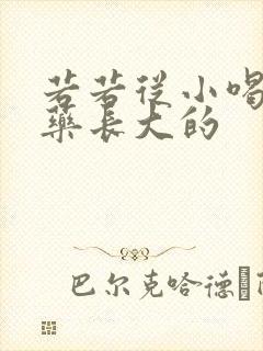 若若从小喝催乳药长大的