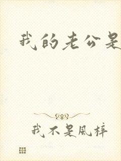 我的老公是军阀