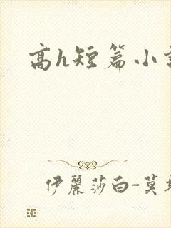 高h短篇小说