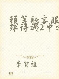 头等舱客服的特殊待遇2中字