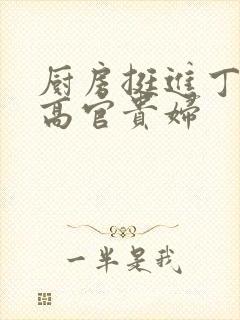 厨房挺进丁字裤高官贵妇