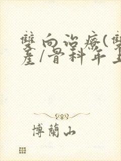 双向治疗(双/产/骨科年上)