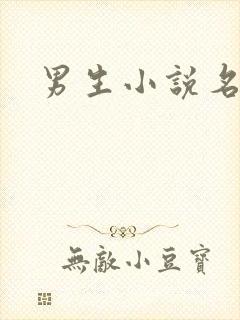 男生小说名字