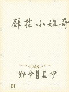 壁花小姐奇遇记