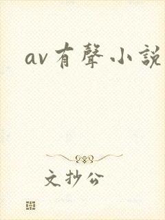 av有声小说