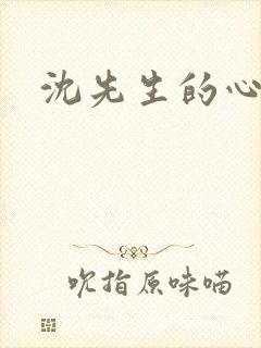 沈先生的心头宝