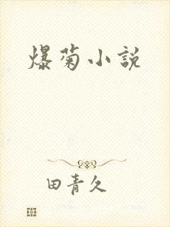 爆菊小说