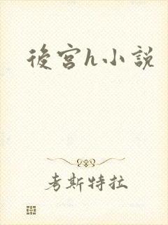 后宫h小说