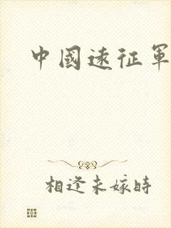 中国远征军小说