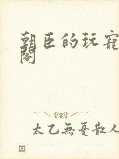 朝臣的玩宠笔趣阁