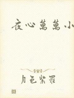 夜心万万小说