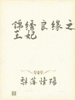 锦绣良缘之北地王妃