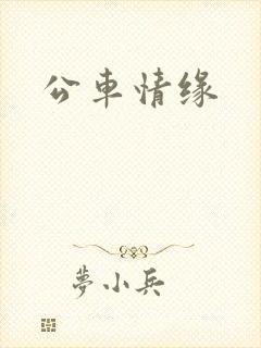 公车情缘