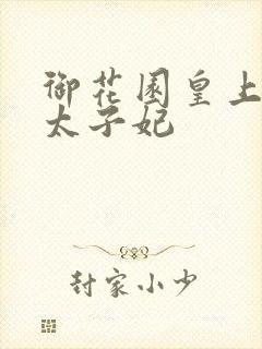 御花园皇上撞着太子妃