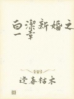 白洁新婚之夜第一章