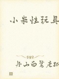 小米性玩具日记