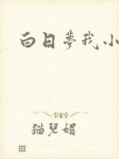 白日梦我小说