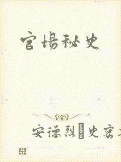 官场秘史