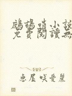 鹧鸪哨小说网站免费阅读无弹窗