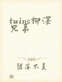 twins柳泽兄弟
