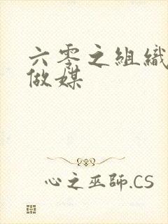 六零之组织给我做媒