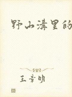 野山沟里的村庄