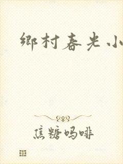 乡村春光小说