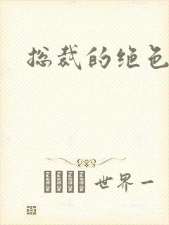 总裁的绝色宠妻