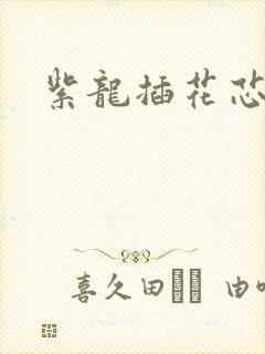 紫龙插花芯方正