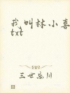 我叫林小喜小说txt