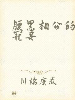 腹黑相公的庶女宠妻