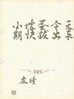 小坏蛋今天危险期快拔出来