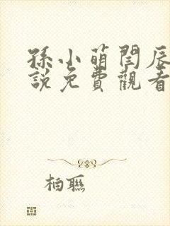 孙小萌闫辰的小说免费观看